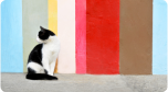 gato branco e preto em frente a um fundo colorido